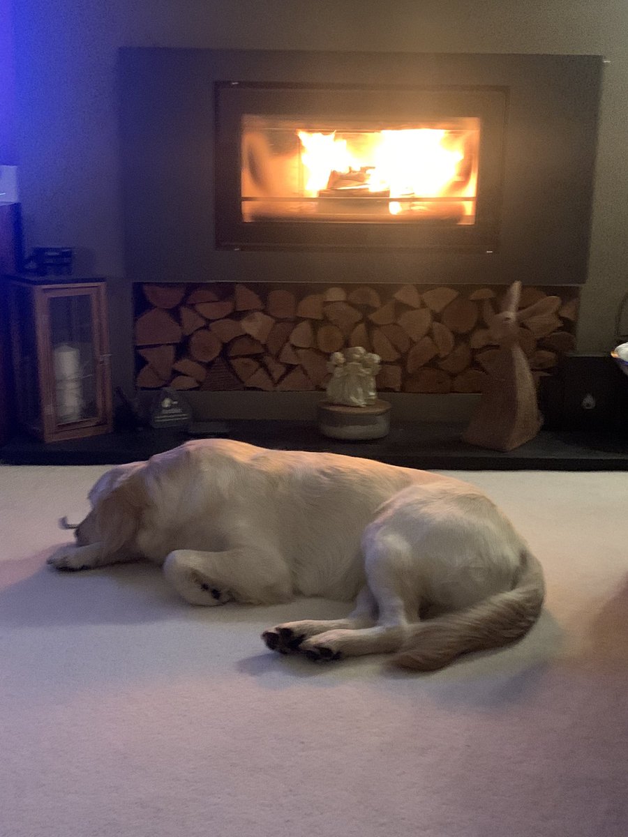 Peter Sherratt tweet media