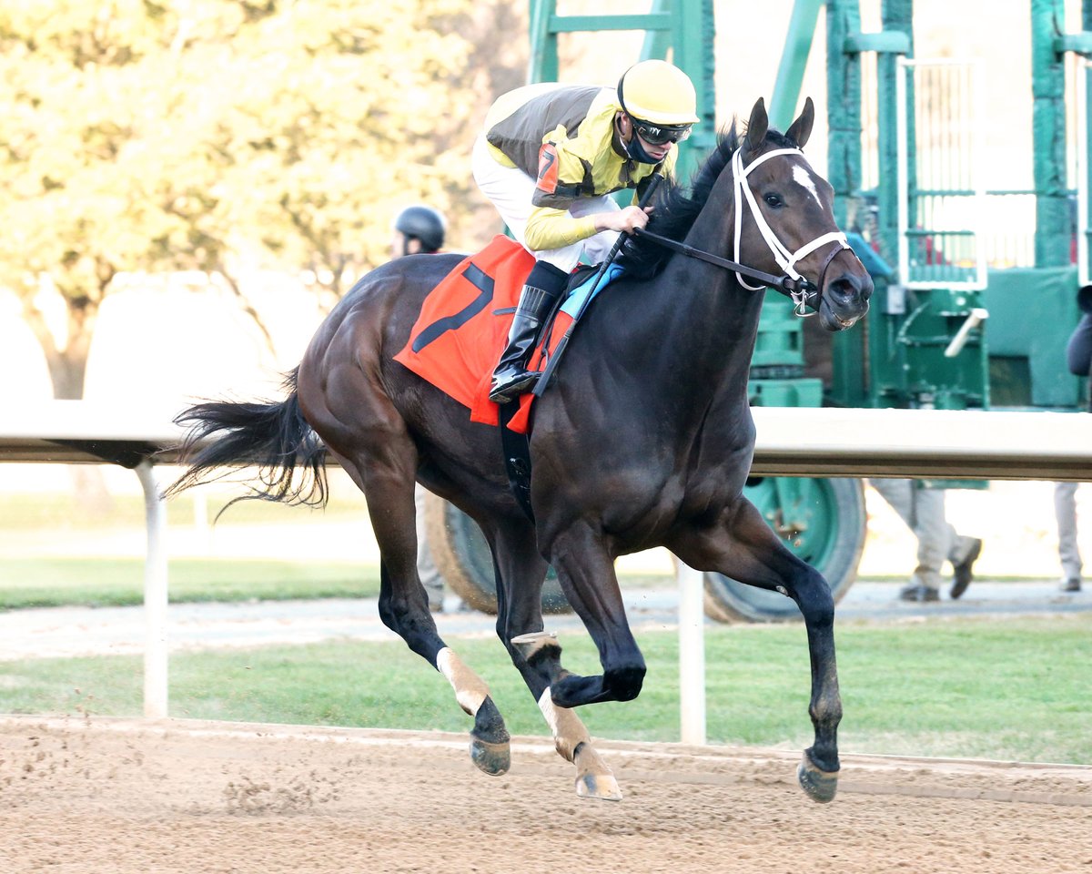 After beginning 2021 with a bang, Caddo River will try to go out with a bang when the star-crossed 3YO returns in Sunday's 8th race at Oaklawn, a 1M conditioned allowance test that will mark the colt’s 1st start in more than 6 months. #OaklawnRacing ow.ly/xp9w50HeO7P