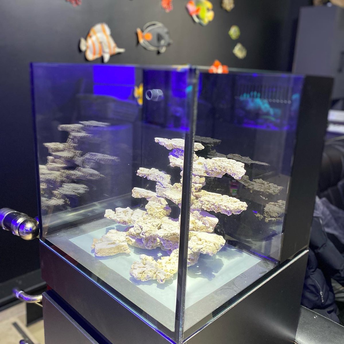 40x40x40h Deniz Akvaryumu