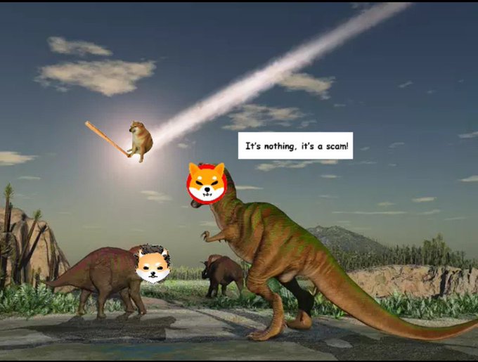AzaleosR's tweet photo. #dogebonk #dobo #sorryelon they've created a monster and it got into space https://t.co/PTQCiGVNbO