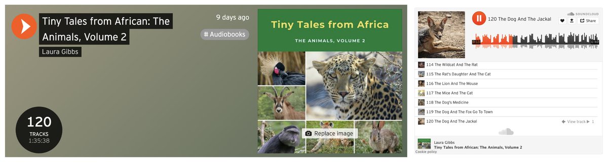 OnlineCrsLady's tweet image. whoo-hoo: now 120 tiny stories proofread/recorded, so that's an hour and a half of animal goodness.
LOTS of trickster tales in there.
on track to finish the audio in December, then I'll work on images, finishing the book by end of January! :-)
microfables.blogspot.com/2021/11/tiny-t…
#OpenWriting