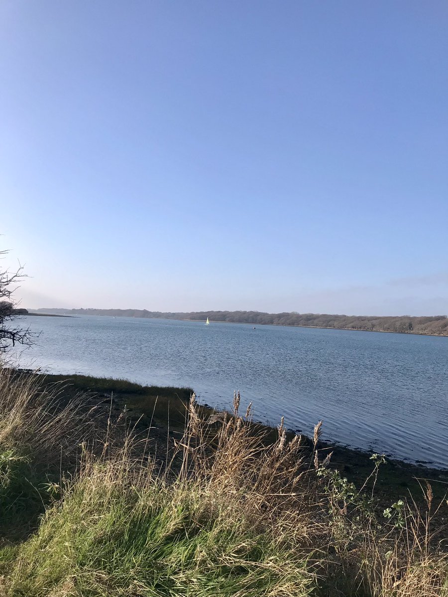 Beautiful walk at Chichester Yacht Club