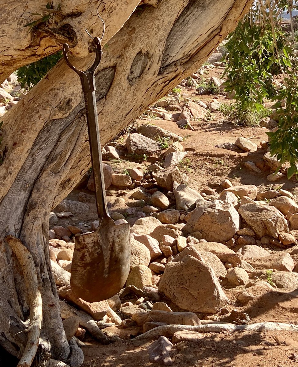 Jack Kruger tweet media