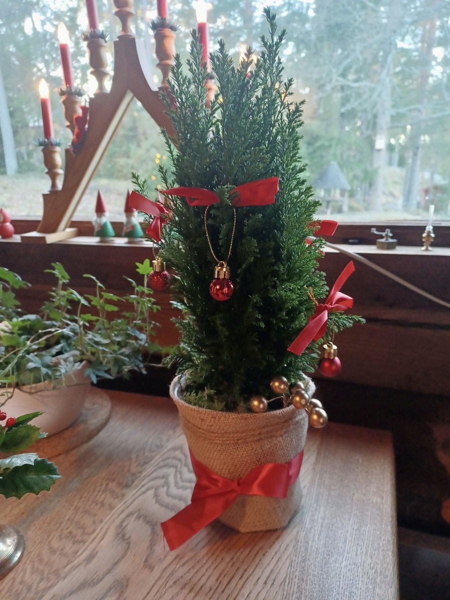 Jul på landet ❣️