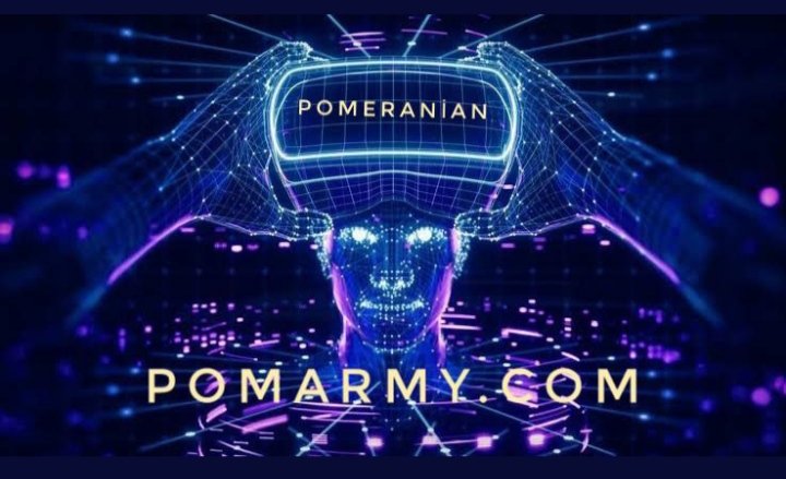 kriptoavcisi07's tweet photo. @borsaparatic @elonmusk #Pomeranian #Pom #pomeranianaudit https://t.co/4VNa7EjYrT