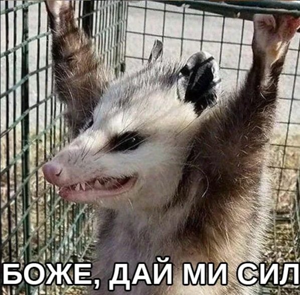 Страшный опоссум