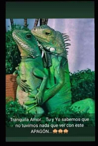 Winelber tweet media