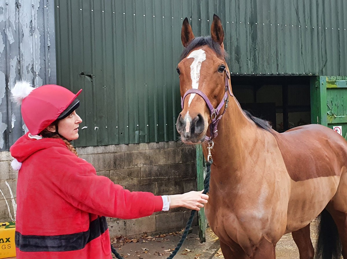 DerbysRacing's tweet photo. Our 4 year filly Vivency at this mornings yard visit π #vivency #derbyshireracing #johnmackieracing https://t.co/eIPOfq26uS