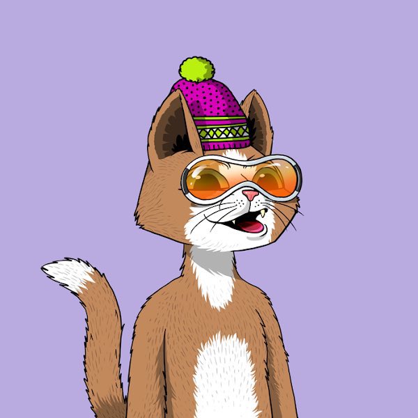 koalas9th's tweet photo. @HappyMarsCat @Kazooskii https://t.co/k2nhUyTWB7