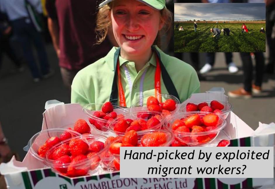 neweuropeansUK's tweet photo. Our December newsletter is out on #InternationalMigrantsDay with multilingual guides 4 seasonal workers picking our fruit & veg. Read about our APPG when we gave evidence to MPs with @CR_OBrien on issues transferring from #presettled to #SettledStaus https://t.co/mnTwvGNQja https://t.co/JiUjlHOCDo