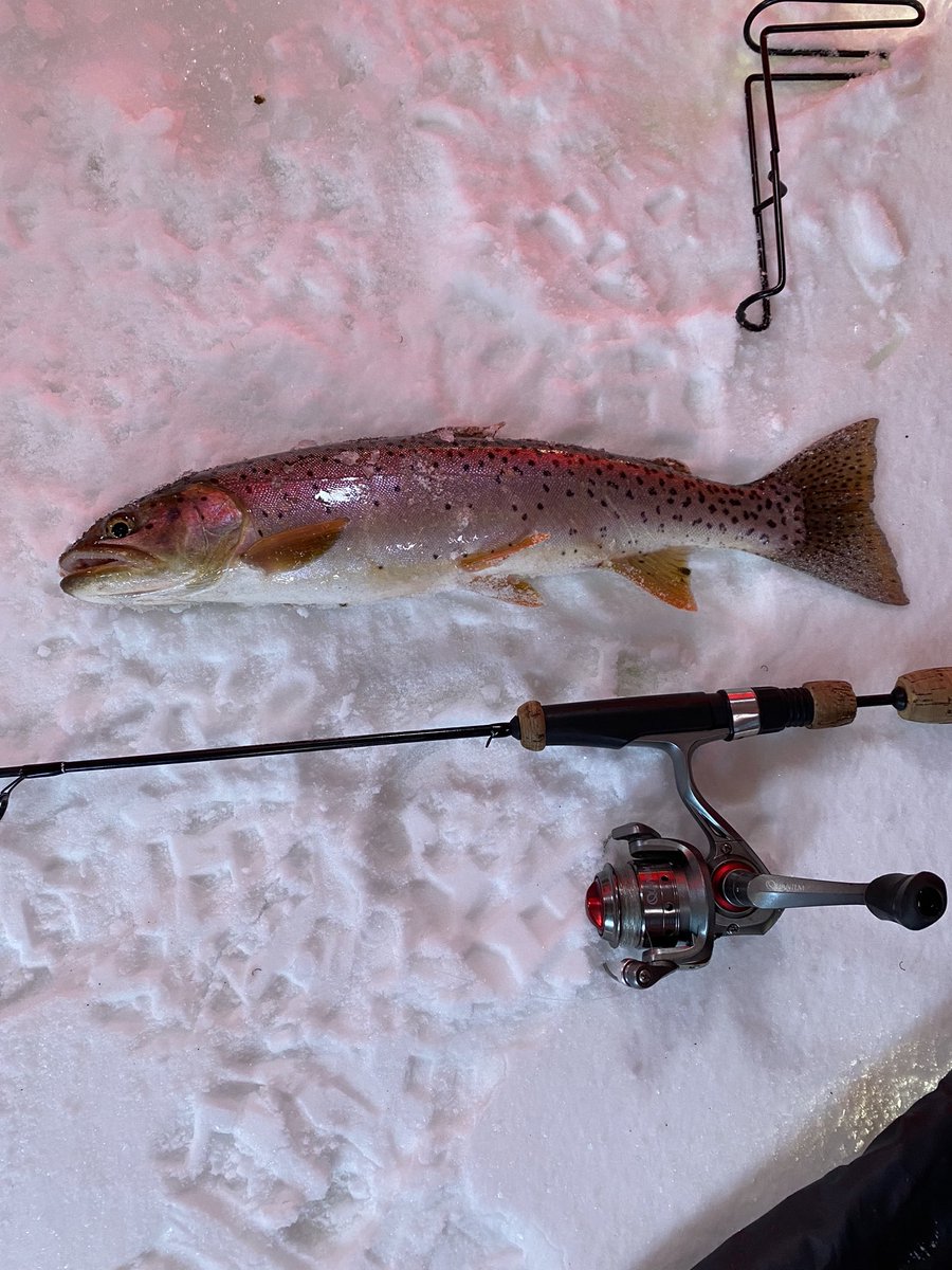 MtnWestIceFish's tweet photo. Hit the Hard Deck at Scofield Today. 

#underarmour #yeti #sportsmanswarehouse #mtndew #icefishing #ionaugers 
#uglystik #jawjacker #procurebaitscents #maniaclures #marcum #bft #clam #mtnops #customjigsandspins #ratfinkee #coldnationoutdoors #icefishingnation 
#801 https://t.co/oF6XYYE4wT