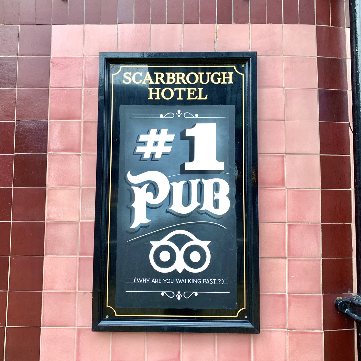 Did you know we are the #1 pub on Tripadvisor?🤩 If you have visited us during these predicament times, please leave us a review✍️ Let’s keep the Scarbrough Taps at #1 🥳 #nicholsons #nicholsonspubs #leeds #leedslife #pubs #tripadvisor