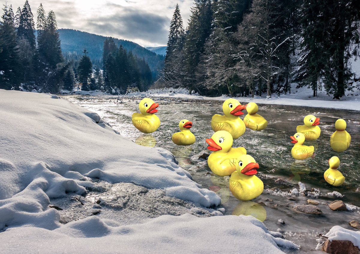 Get your 🐤 in order. There’s 7️⃣ days till Christmas. 🎄 #WizardsUnite