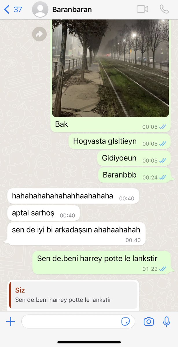 Dün gece sarhoş olmuşum okulun önünden kalkan tren Hogwarts a gidiyor sanmışım