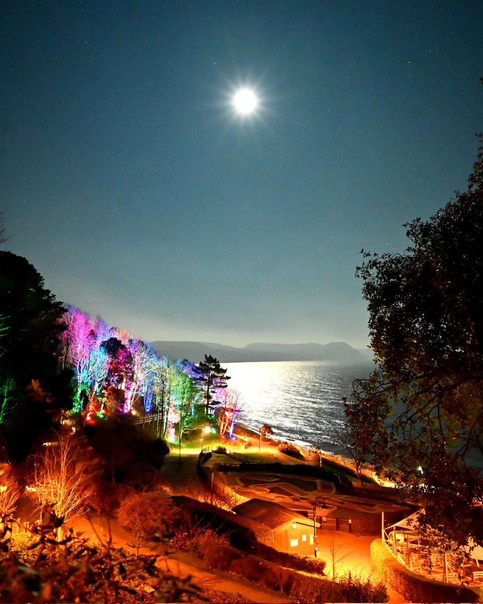 Wonderful moonlight across the bay this evening contrasting with the colourful illuminated trees in Langmoor Gardens. 
#LymeRegis #LoveLymeRegis #dorset #moonlight #moon