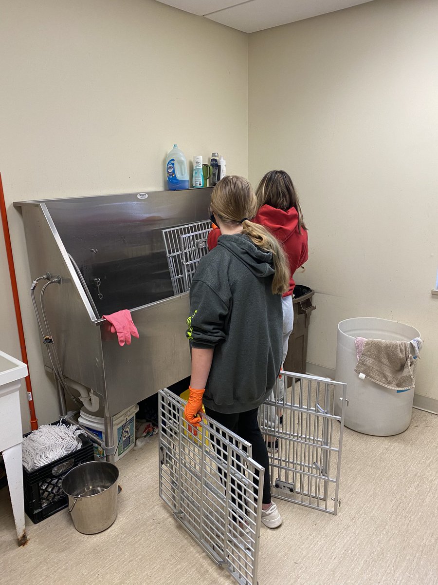 pocadeca's tweet photo. PHS DECA members volunteering at the Putnam County Animal Shelter🐱🐶 
#cats #dogs #volunteers #cleaning #DECA #decainc #animalshelter https://t.co/U78eUZwf9g
