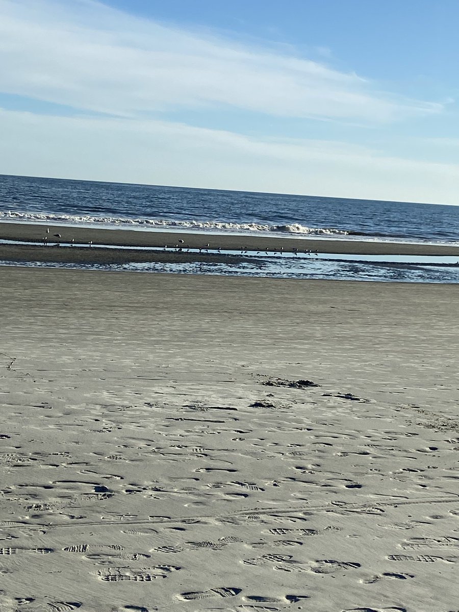 Beautiful day to walk the beach. No, I wasn’t in the water. It’s extreme (spring) low tide here because of the full moon. Looking forward to seeing the spring high tide around 8:00p.m.