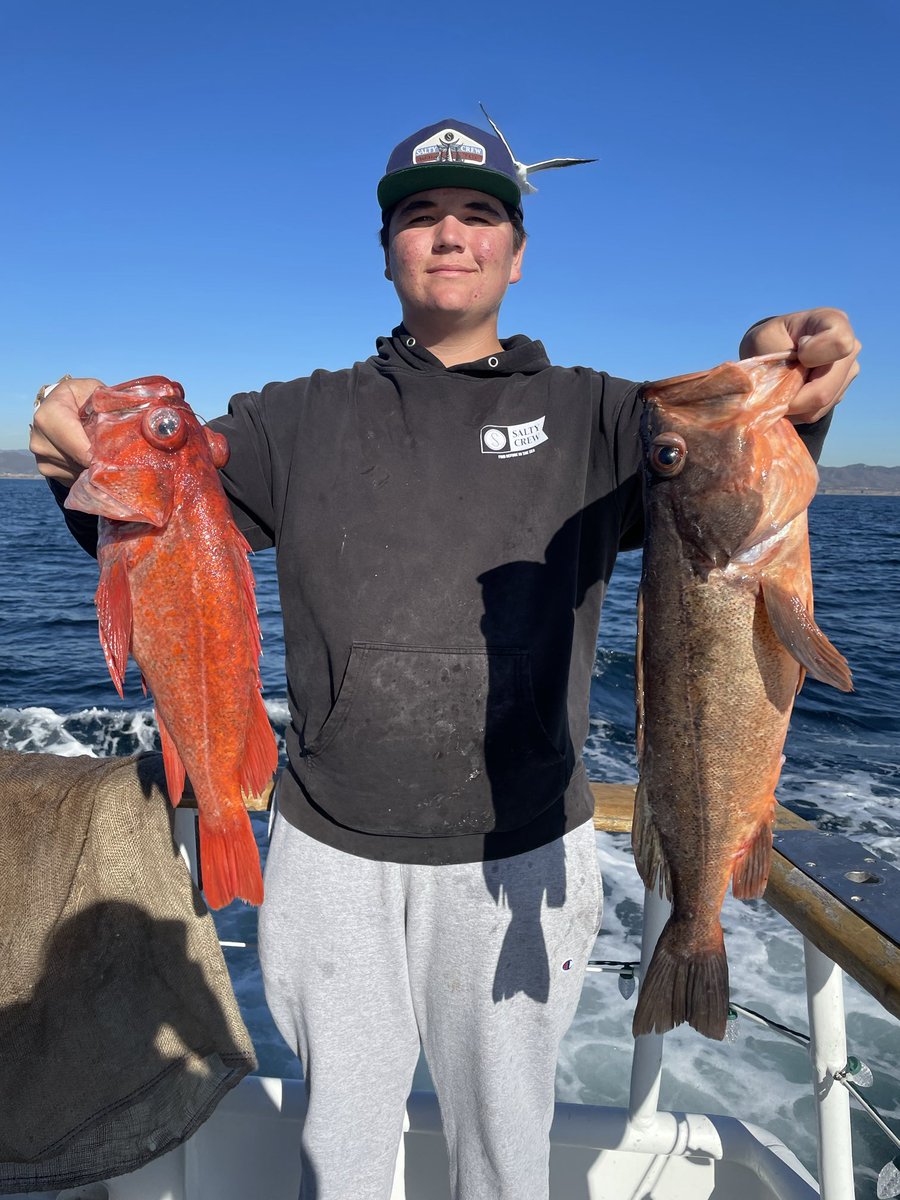 FishDanaWharf (@fishdanawharf) on Twitter photo Merry Christmas everyone let’s go fishing this season fill your freezer ! What’s your Christmas Catch ? #danawharf <a href="/VisitCA/">Visit California</a> <a href="/mydanapoint/">visitdanapoint</a> <a href="/DanaPointHarbor/">Dana Point Harbor</a> Merry Christmas everyone let’s go fishing this season fill your freezer ! What’s your Christmas Catch ? #danawharf <a href="/VisitCA/">Visit California</a> <a href="/mydanapoint/">visitdanapoint</a> <a href="/DanaPointHarbor/">Dana Point Harbor</a>