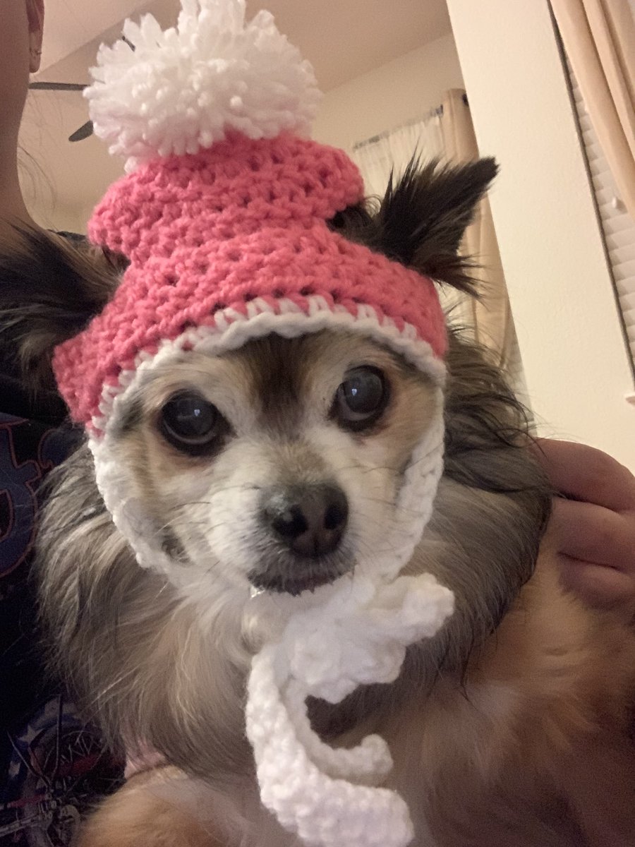 crocheted a hat for my doggie HEHE