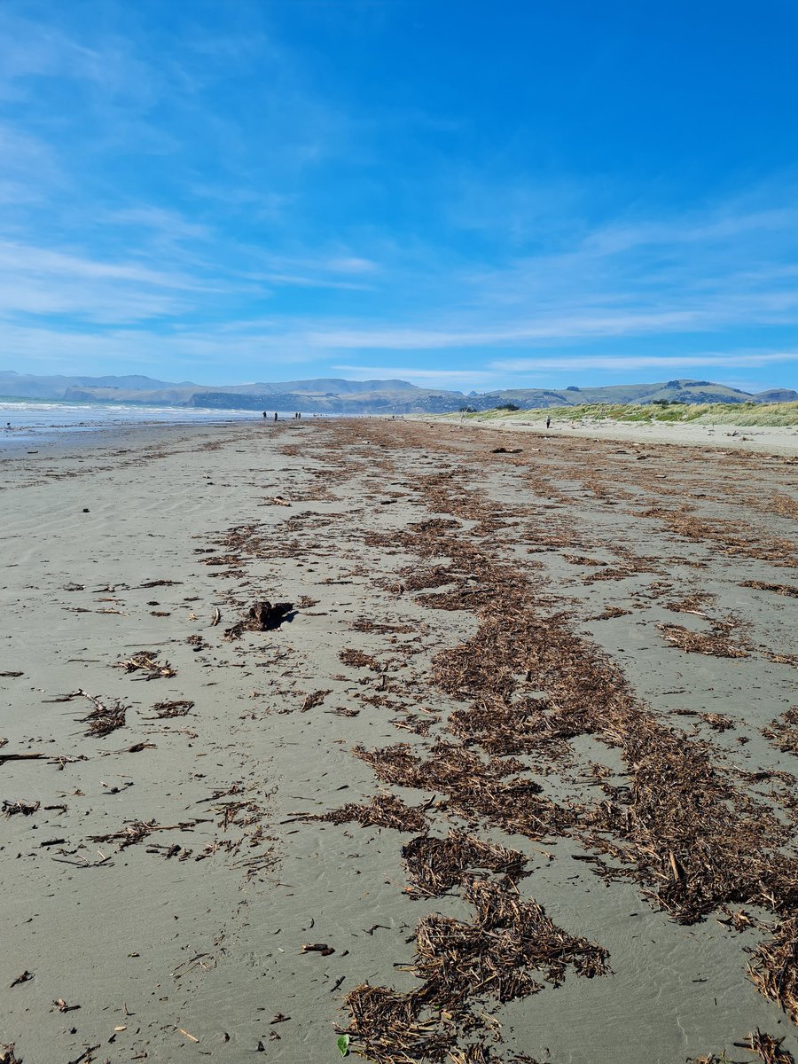 Jen Miller tweet media