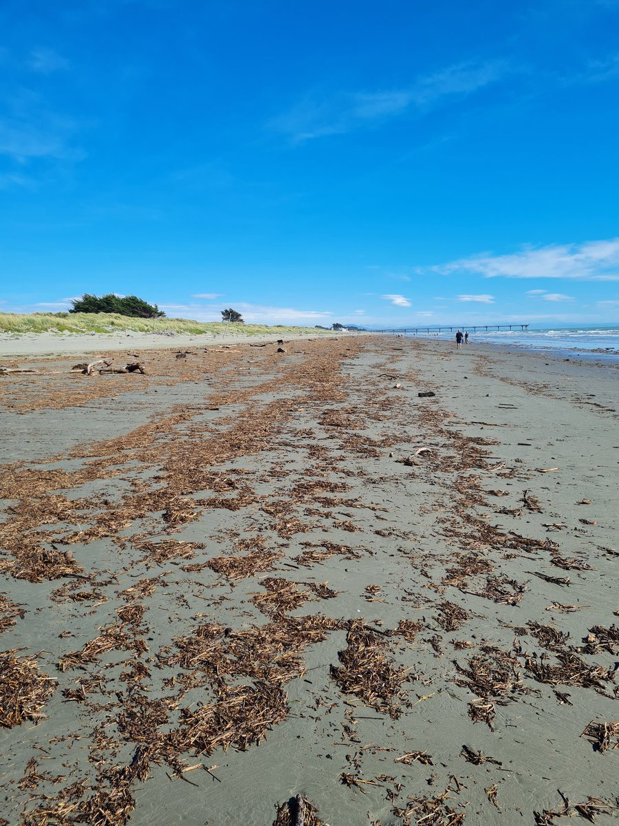 Jen Miller tweet media