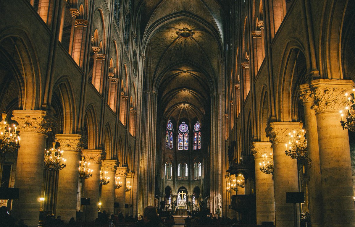 AssassiNFTWorld's tweet photo. Paris, #France 🇫🇷 #🌁 #travel #🚵 #vacation #🍄 #nature https://t.co/EUVdFDEBaZ