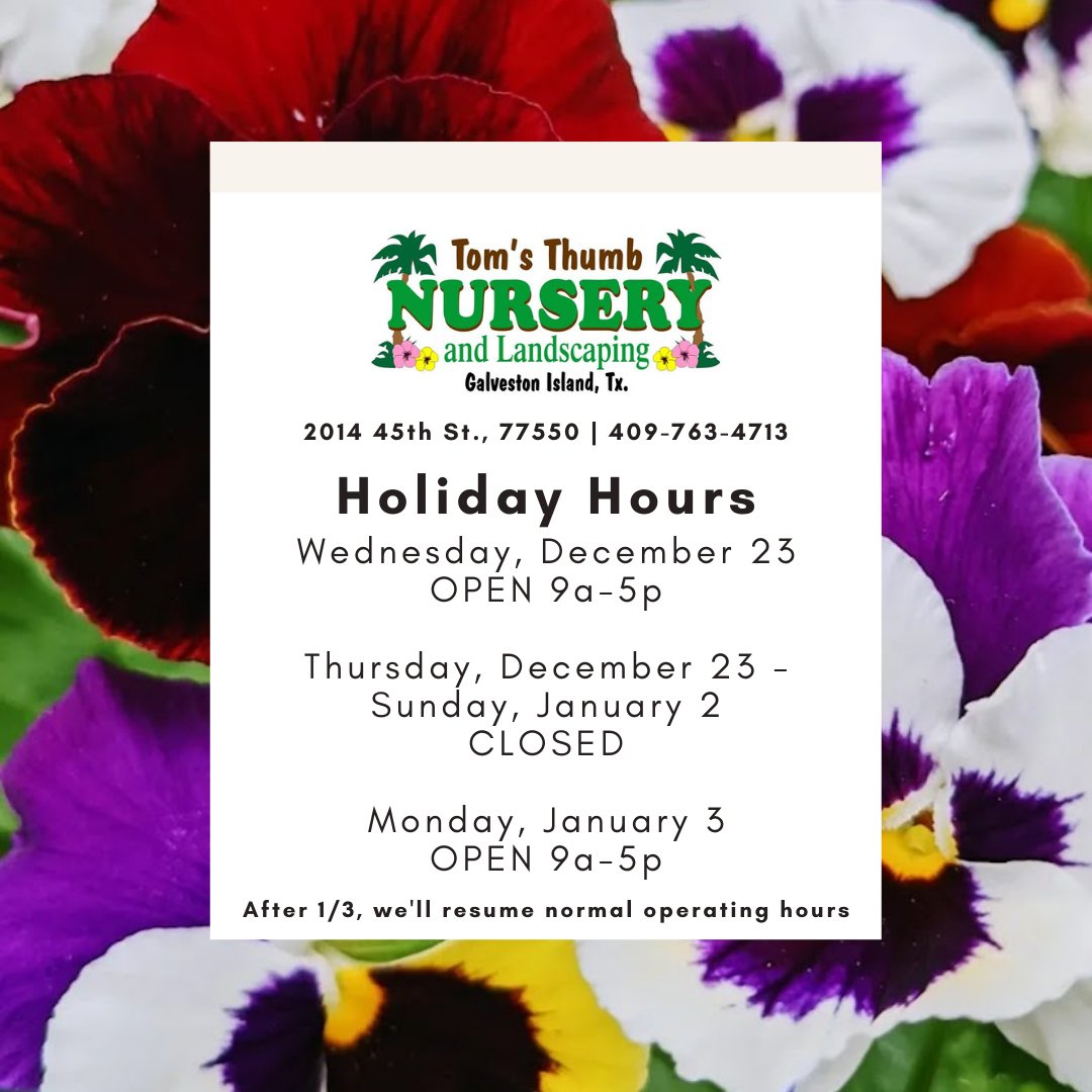 🎄 Here are our holiday hours for the rest of the month! 🎄
 
Make note of these hours &amp; shop all your organic natural garden care, plants, and holiday decor beforehand! 
⁠
Be sure to sign up for our newsletter for updates: tomsthumbnursery.com/sign-up