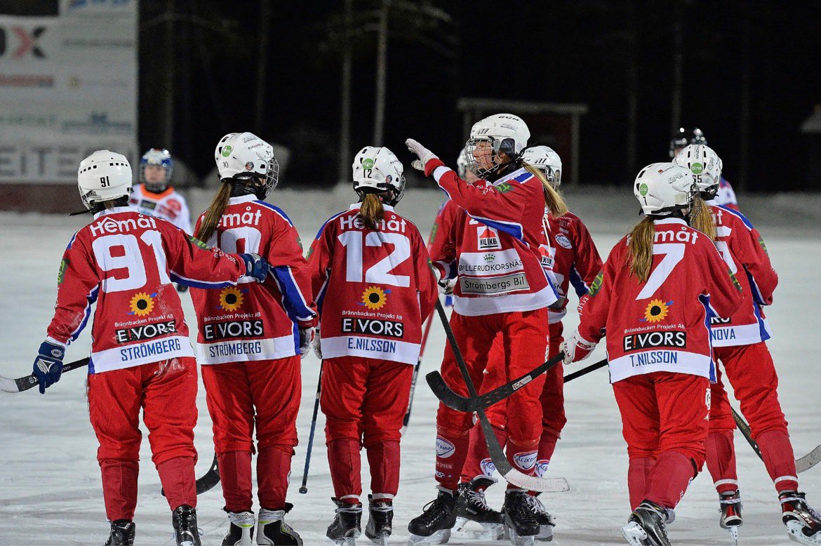 Julen står för dörren och vi har spelat 5 matcher 3 förluster och 2 vinster. Jag personligen tycker att tjejerna har gjort den bästa säsongsinledningen sen jag blev tränaren. Vi spelar en rolig bandy med mycket fart och rörelse. Precis som jag älskar det. 
God jul!