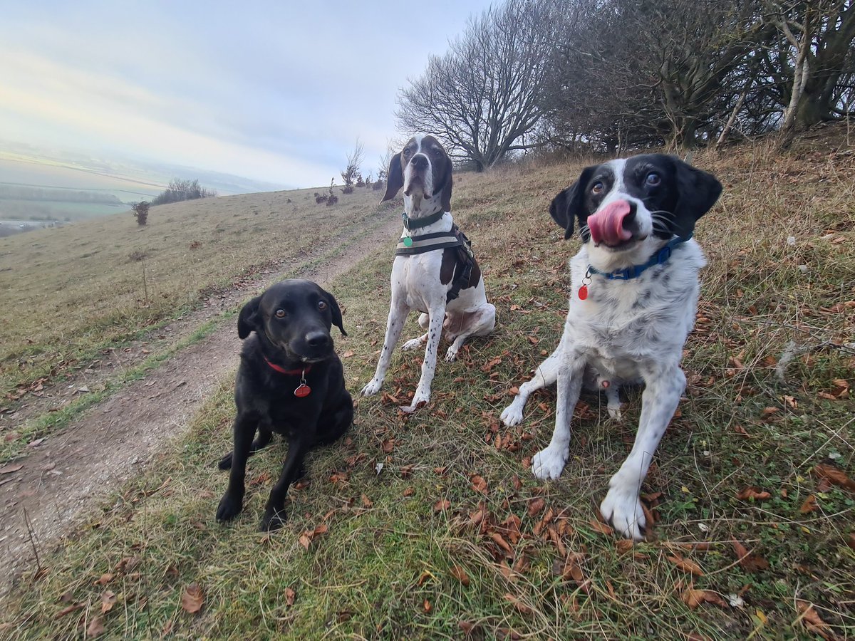 I am incredibly lucky to be able to study the @MarineVertsMSc in Falmouth this year with @ExeterMarine, but it cannot possibly beat the #countryside and #nature of the #Chilterns and #Oxfordshire and being with my family 💚
