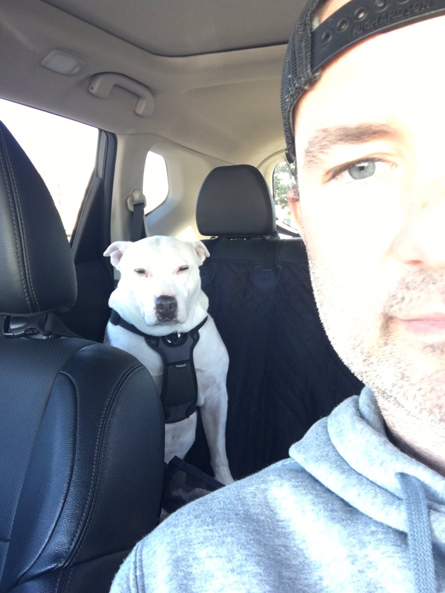 SDBaseballcoach's tweet photo. Backseat Driver 🤷🏻‍♂️ https://t.co/73IxwbHjci