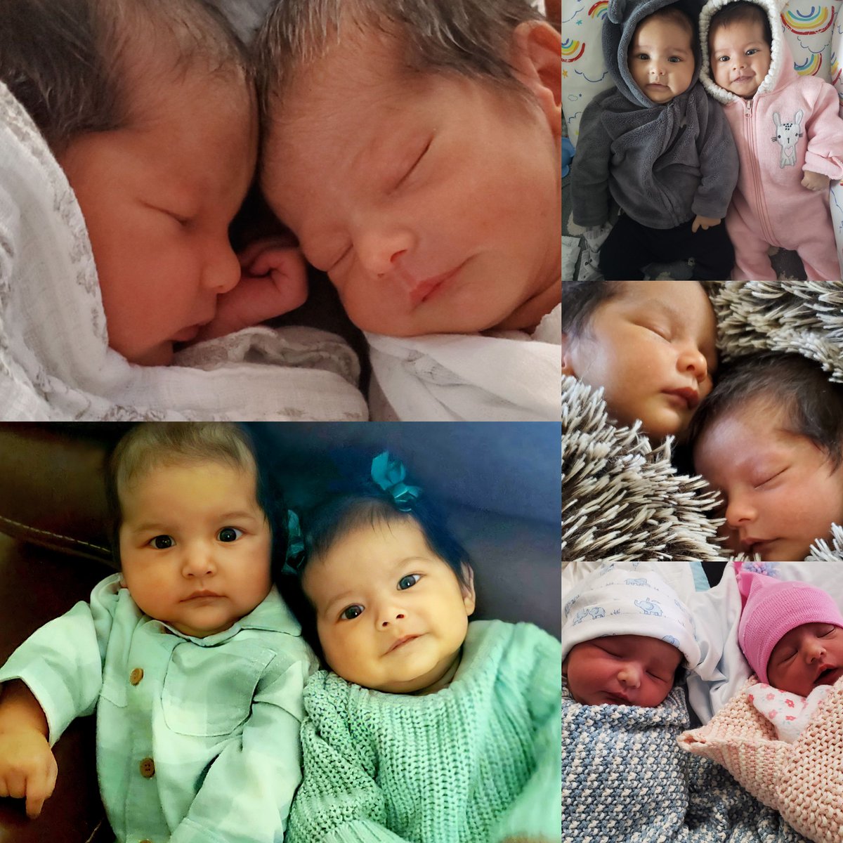 Lula0614's tweet photo. Dos de mis Tres Amores. National Twin Day! You two make our family complete. We love you more than you can imagine! ❤ #nationaltwinday #boygirltwins @HouseofBrito https://t.co/ZDqVeclzxj