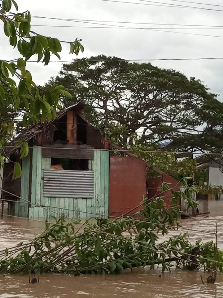 jeannotjane's tweet photo. It's almost 3 days with no electricity, no water, and some w/ no roof and houses.
Our stocks are running out. Walang tulong. Kahit TUBIG lang po.
#OdettePH #NegrosOriental #Tanjay https://t.co/mNNNRPkZbk