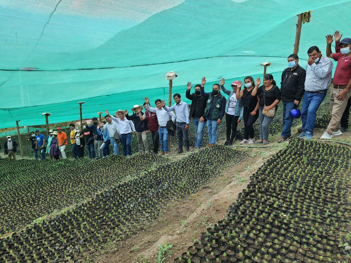 MesiasGuevara's tweet photo. En San Pablo junto a nuestros agricultores, inaugurando reservorios y supervisando viveros de paltas. Nuestros programas #RevoluciónAzul y #PonchoVerde, estan en marcha. El Agua es vida y esperanza. @midagriperu @MIDAGRI_UEFSA @FicoTenorio @Agencia_Andina https://t.co/TQXlIPjMzi
