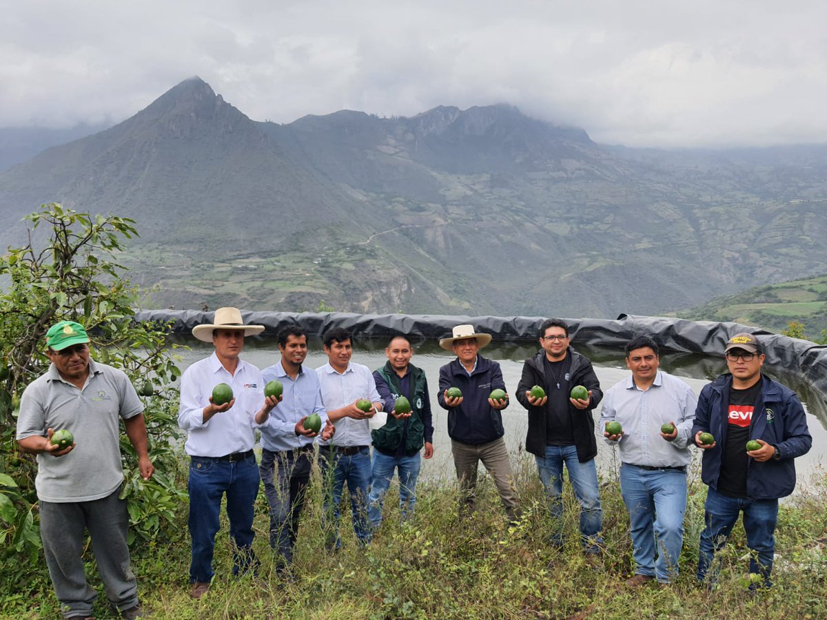 MesiasGuevara's tweet photo. En San Pablo junto a nuestros agricultores, inaugurando reservorios y supervisando viveros de paltas. Nuestros programas #RevoluciónAzul y #PonchoVerde, estan en marcha. El Agua es vida y esperanza. @midagriperu @MIDAGRI_UEFSA @FicoTenorio @Agencia_Andina https://t.co/TQXlIPjMzi