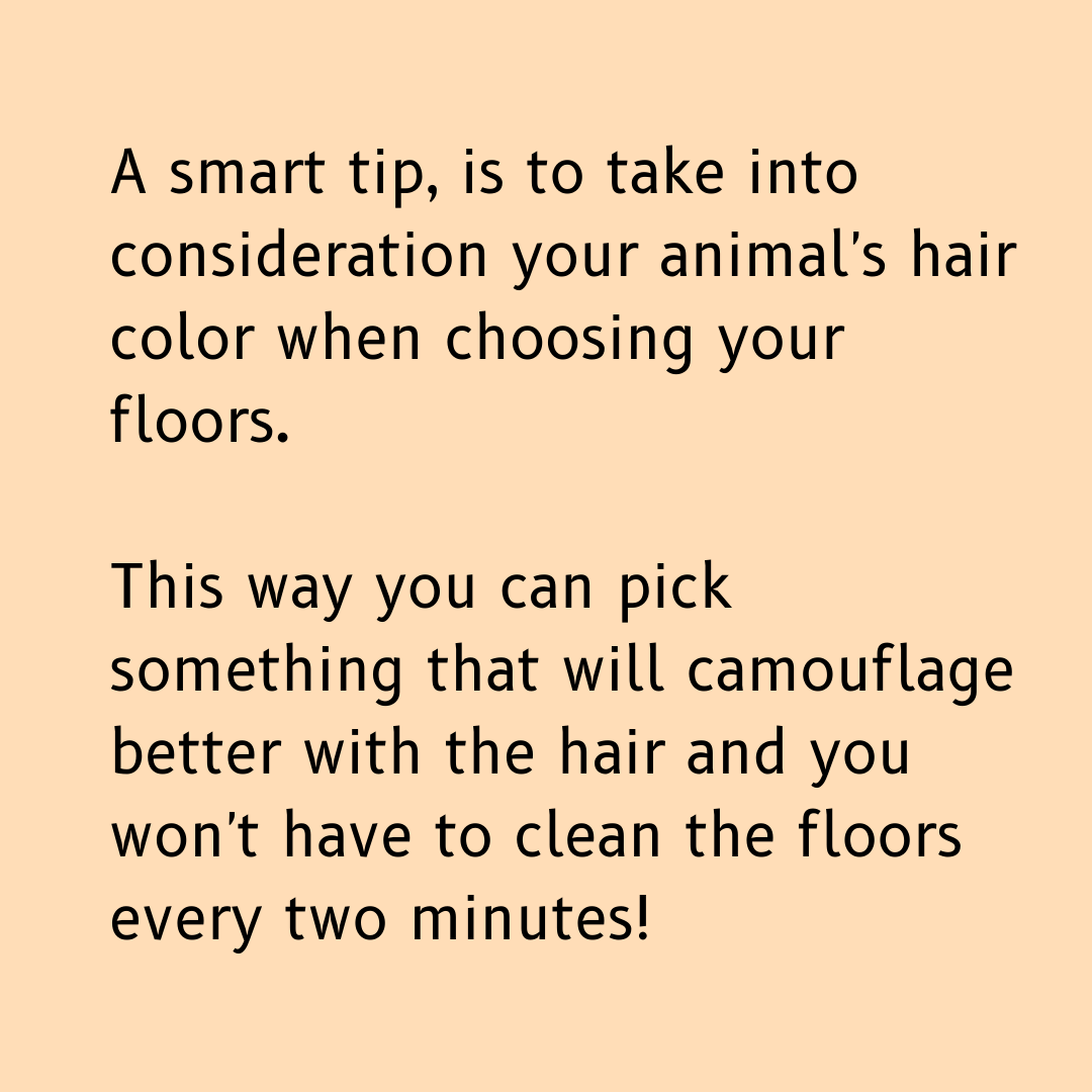 FlooringMy's tweet photo. Do you have pets or are looking to have pets? Keep reading!

#pets #flooring #flooringtips https://t.co/u6b3AxhLKA