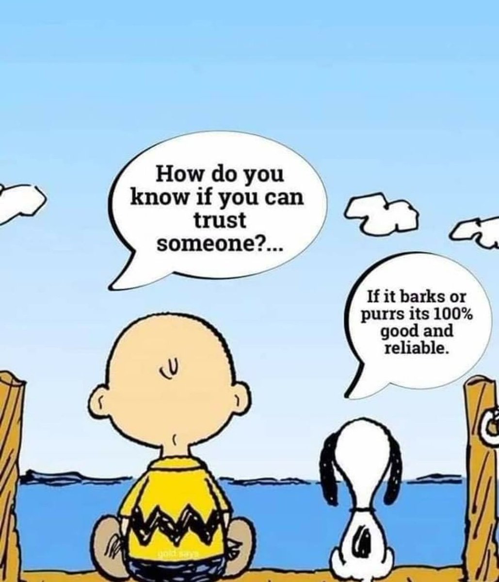 melissajoyart's tweet photo. How to know if you can trust someone ๐ฑ๐ค๐ถ #getapet #adoptdontshop #cat #dog #cute #meme #charliebrown #Snoopy https://t.co/UUt1b1eUtl