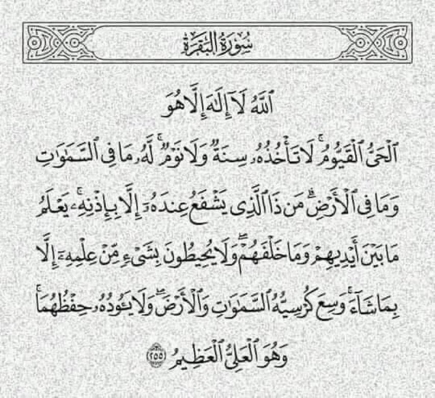 Ziyad Alwadai | زياد tweet media