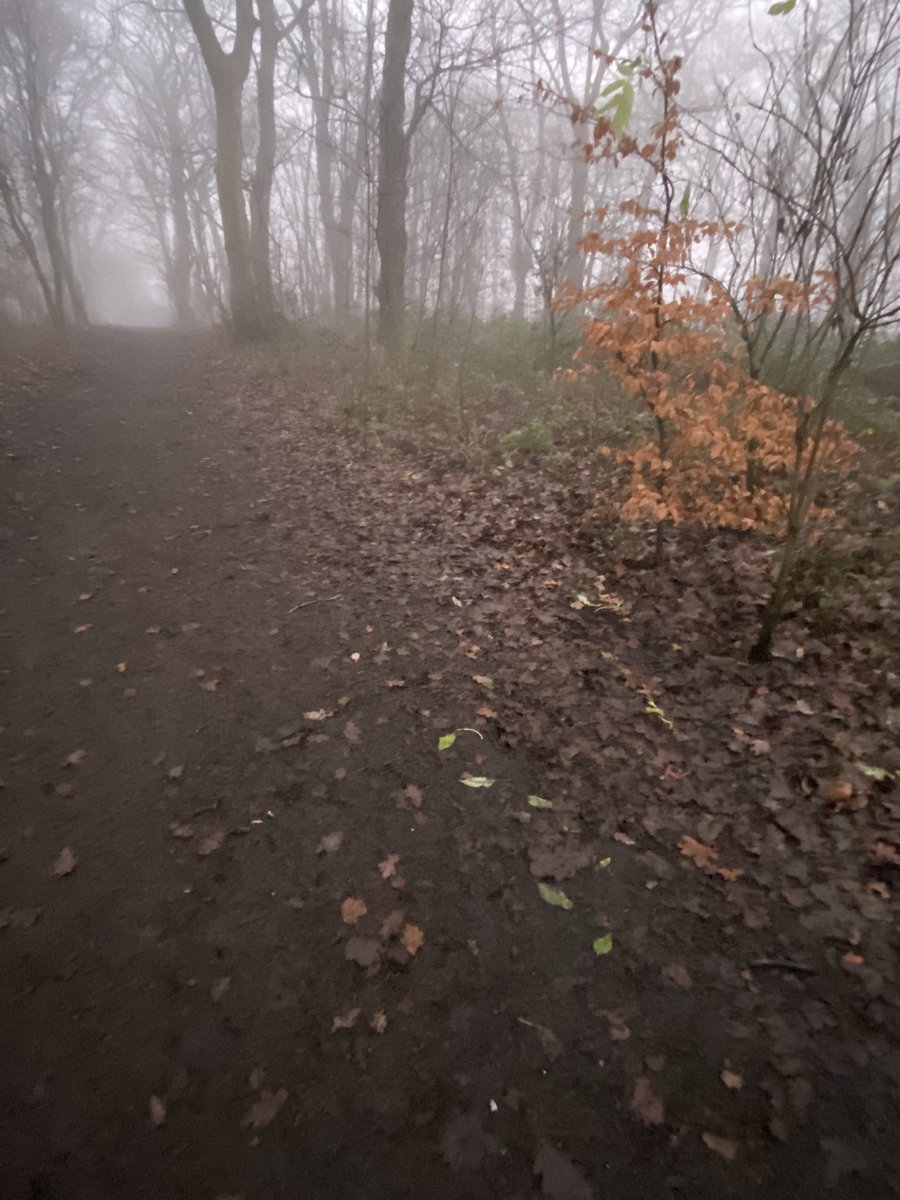 roketronnie's tweet photo. #run5=#run6 it’s in the park,no timing,no distance,just touching nature,a couple of circuits,all little inclines,steps,look out for centuries old roots,little Buddy not a companion for this,these days he’e even slower than me,the park is the place to be 👍
#running #Glasgow https://t.co/9RPVBMZws0