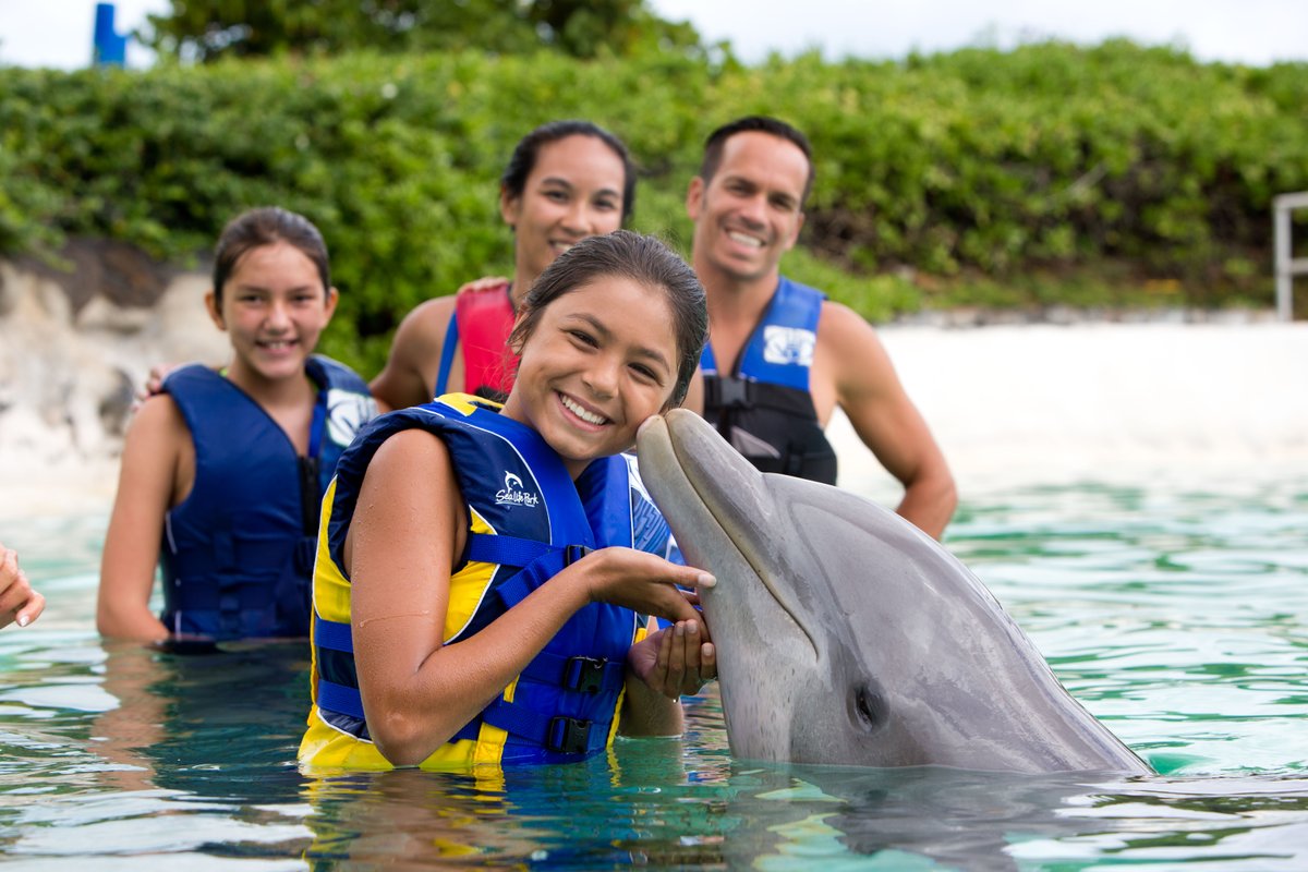 SeaLifePark's tweet photo. Kama’aina save BIG at our park. Show your Hawaii ID at our ticket counter and save over 40% on your day pass!

https://t.co/xiW4jt30gI https://t.co/ALw36W4ulr