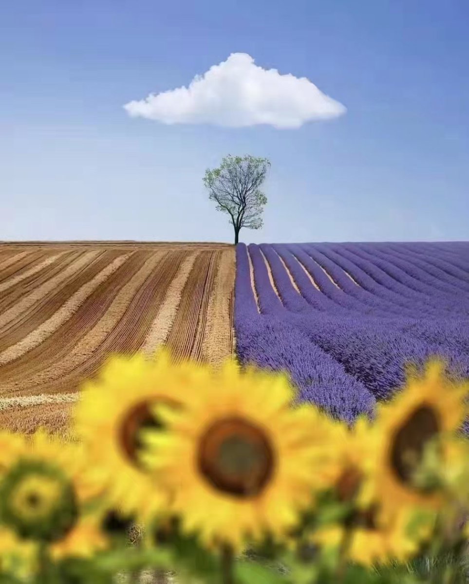 早上好，我亲爱的朋友！