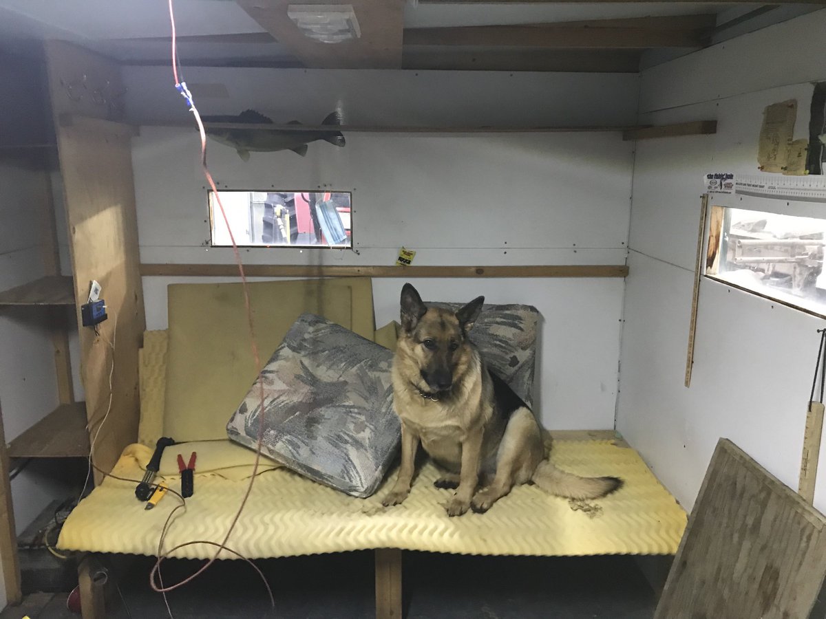 hugewalleye's tweet photo. Well somebody is ready to go fishin …it just isn’t me … #somethingnotrighthere https://t.co/0KhdWWOLhc