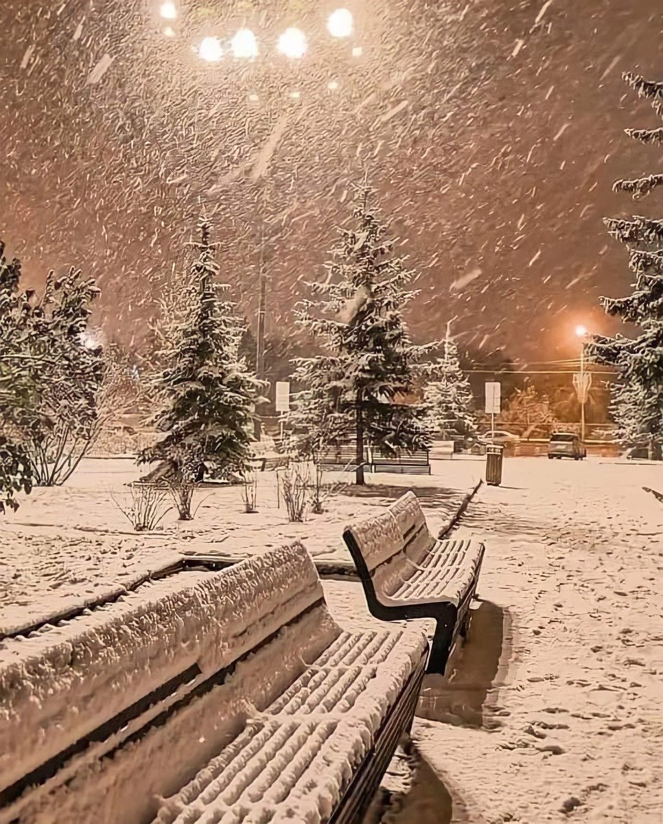 Kholousi Behrouz tweet media