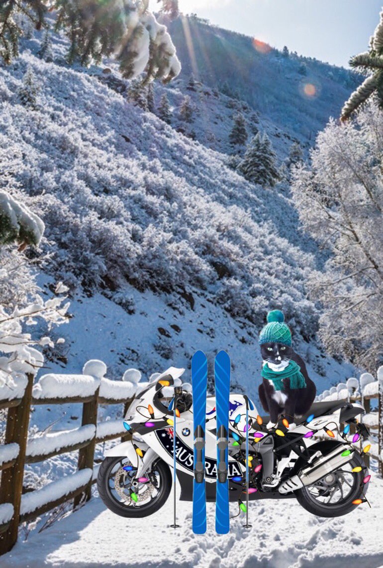 Angel 🌈 Captain Jerry - RIP 1.8.2013-17.6.2025 tweet media