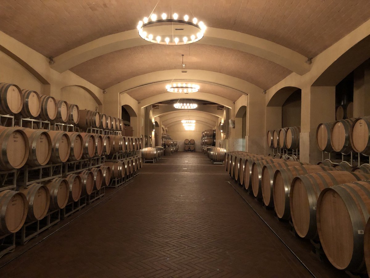 JohnMFodera's tweet photo. @amy_oosterhouse @RussellVine1981 Giddy up!  #Tuscanvines #coevo @cecchiwinery https://t.co/3wpfX0LEcs