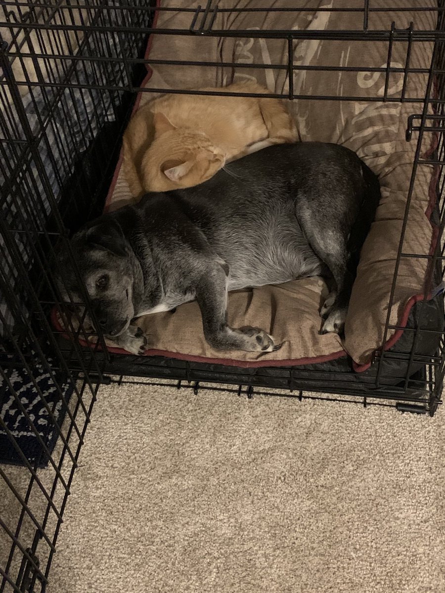 sksee75's tweet photo. Family wears me out. https://t.co/4lkaBfx3cZ