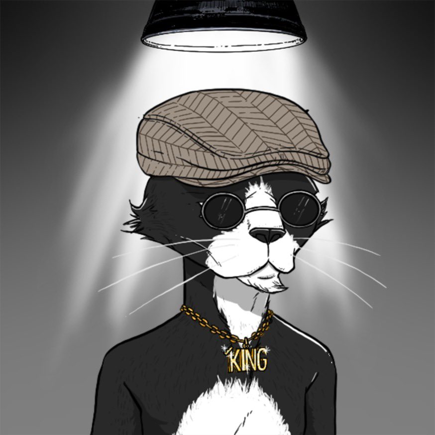 Chefoftheday tweet media