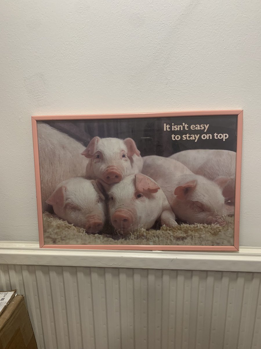 Daisy20977369's tweet photo. Went to a boys house on Friday and saw this in corridor love it https://t.co/waGMl1skLs