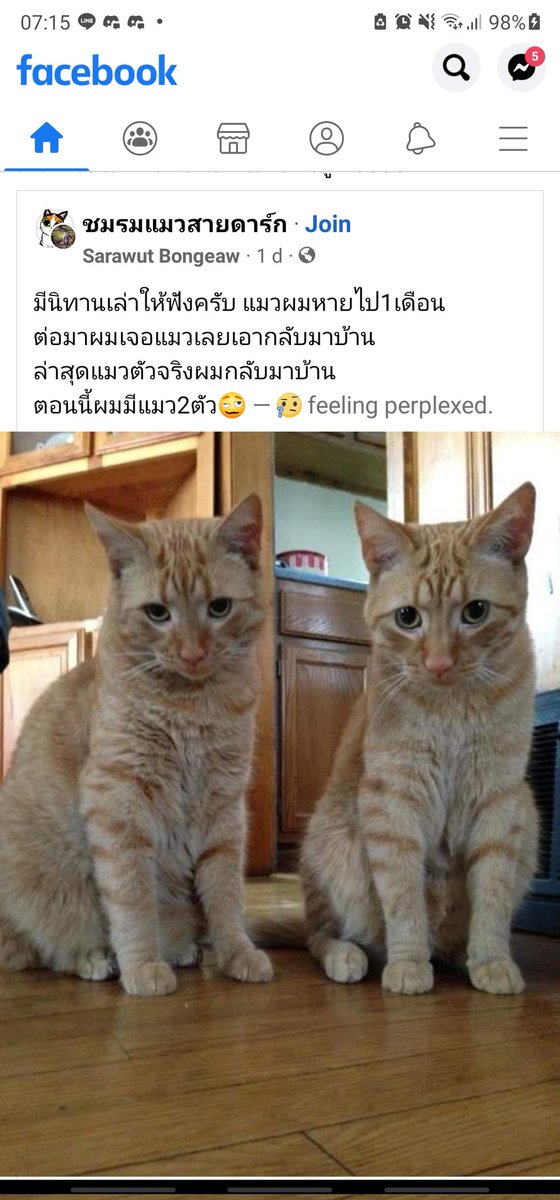Nungning™ ~ʕ•ᴥ•ʔ tweet media