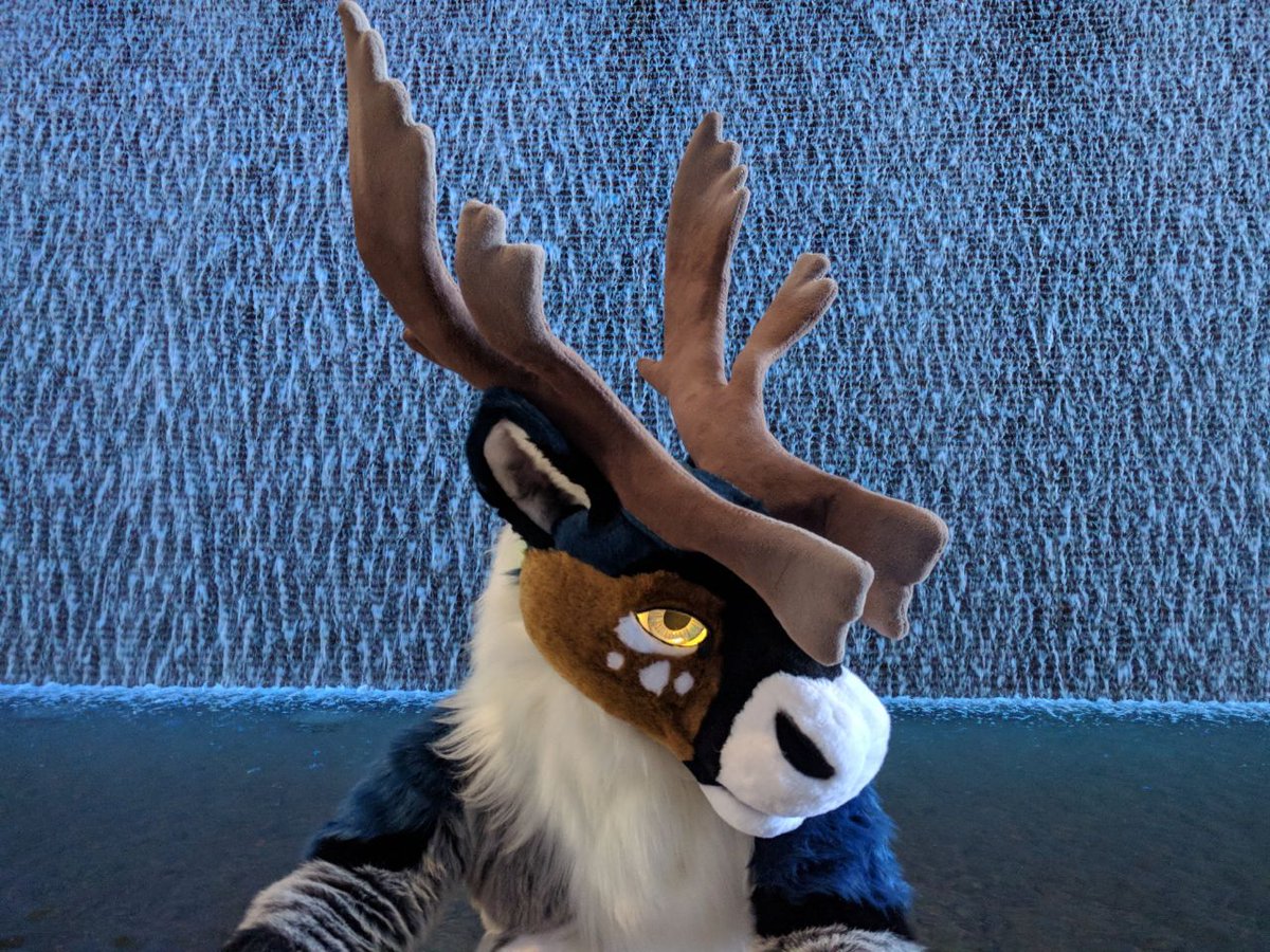Denali tweet media
