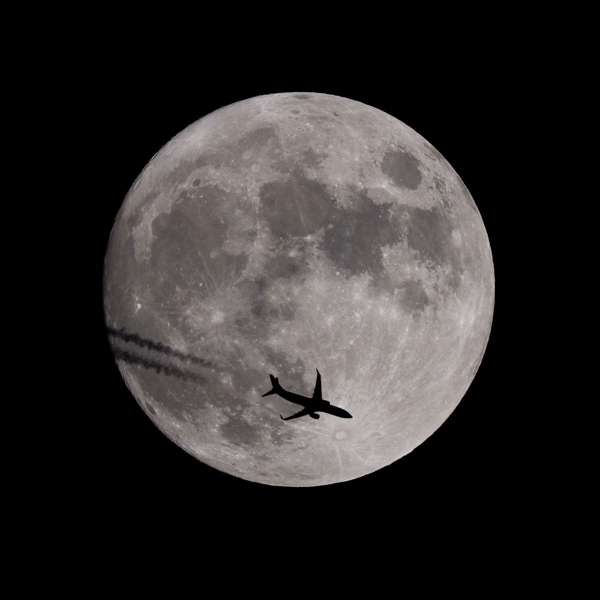 It’s a marvelous night for a moon flight. 🎶✈️🌑  

📸: mseeley20/Instagram